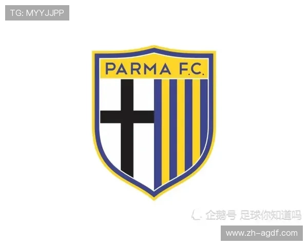 意甲所有球队队服与配色名称参考图表