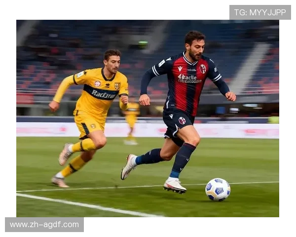 看西甲联赛选择什么视频播放器体验更佳